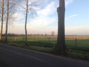 IMG_0318